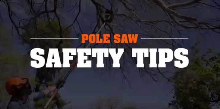 pole saw safety tips