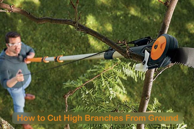 How to Cut High Branches From Ground