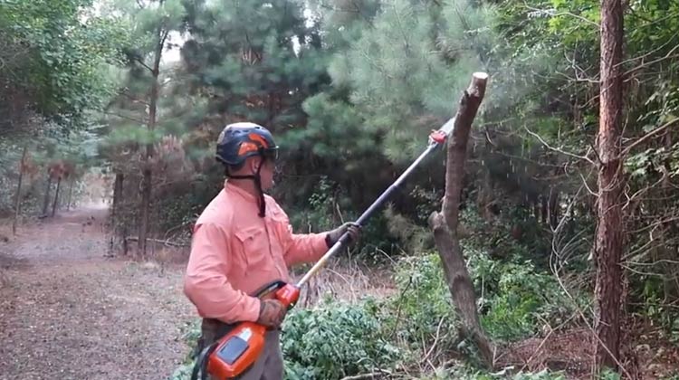 Choosing an Appropriate Pole Saw