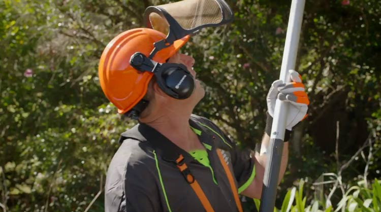 Cutting Techniques of Pole a Saw