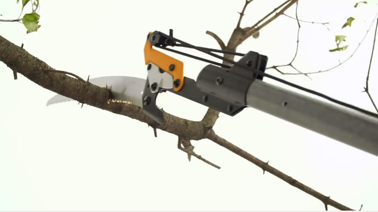 Methods of using a manual pole saw