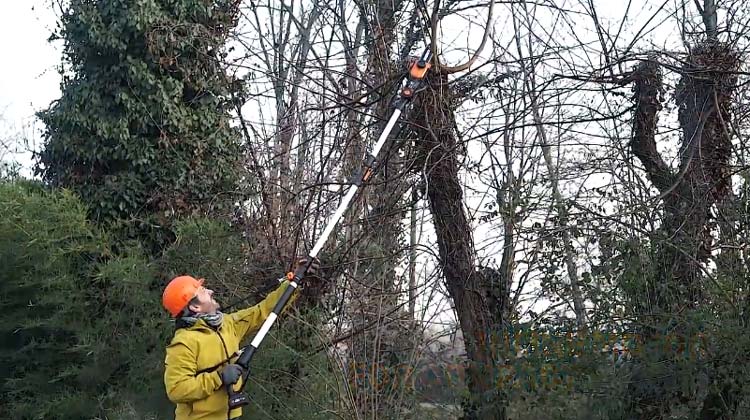 Gas Pole Saw Vs. Cordless Pole Saw