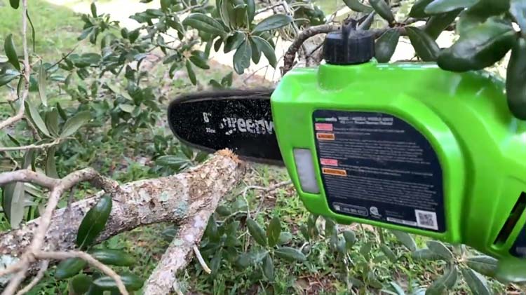 Greenworks Pole Saw Review