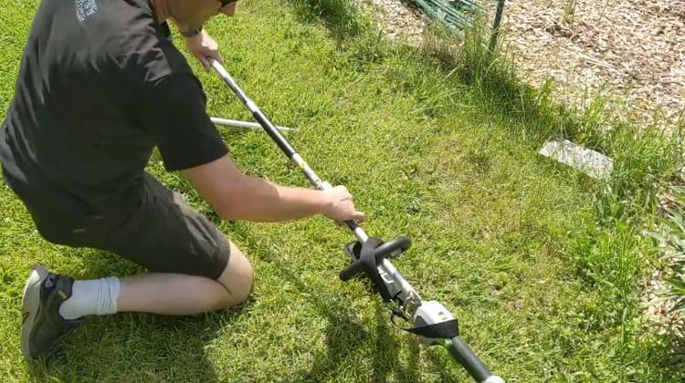 How to use a Pole Saw Safely For Tree Pruning