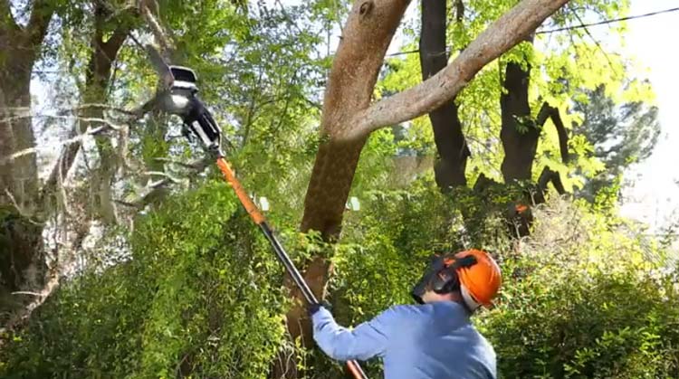 How to Maintain Remington Ranger Pole Saw