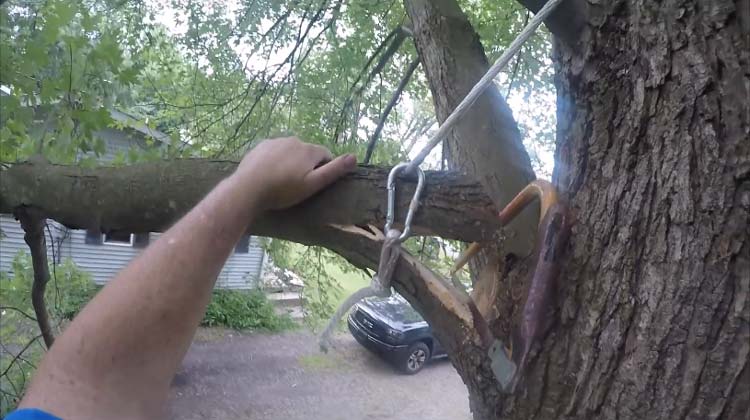 How to Rope Down a Tree Limb