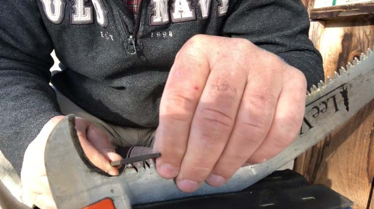 How to Sharpen a Pole Saw Blade