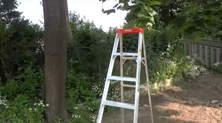 How to Rope Down a Tree Limb