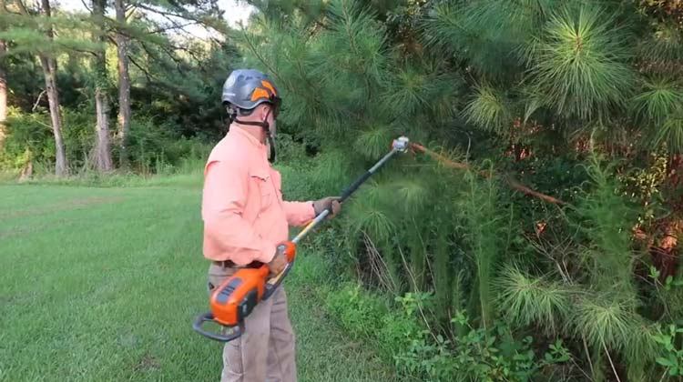 Pole Saw Cutting Techniques