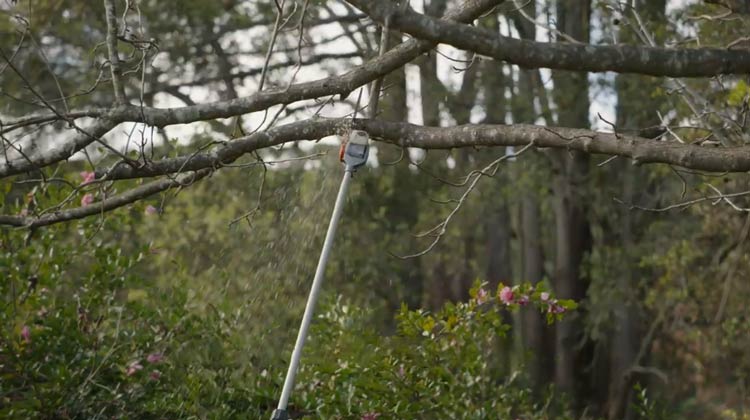 Pole Saw Cutting Techniques