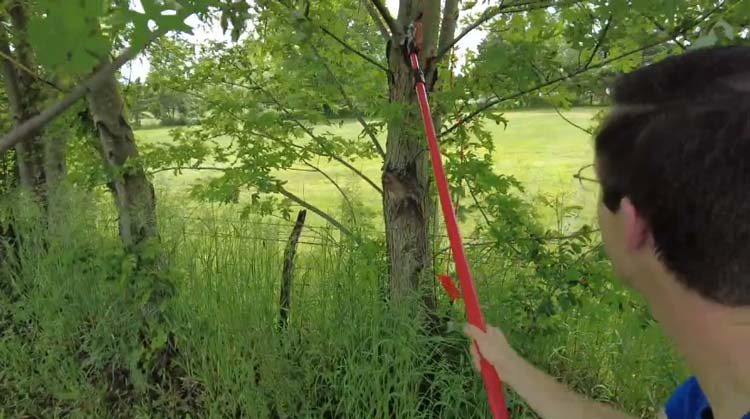 How to use a manual pole saw with rope