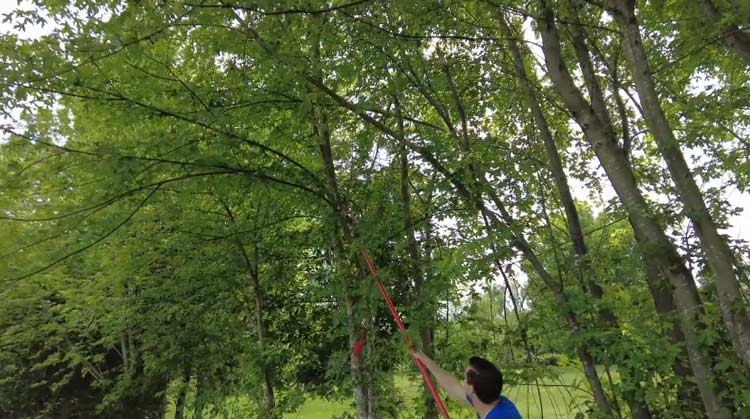 How to use a manual pole saw with rope