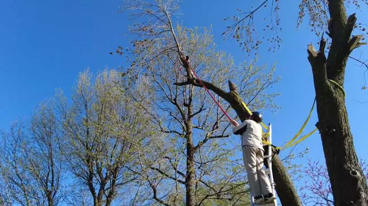 When should you use a rope with a pole saw