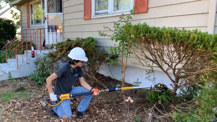 What is A Pole Saw Used For?