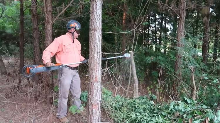 Are Battery Powered Pole Saws Good?