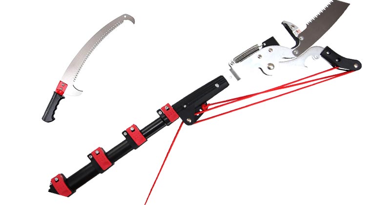 Types of Pole Saws